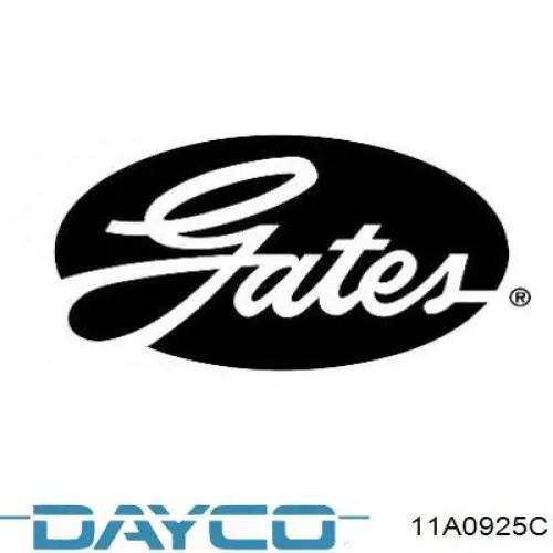 Pas napędowy mechanizmów 11A0925C Dayco