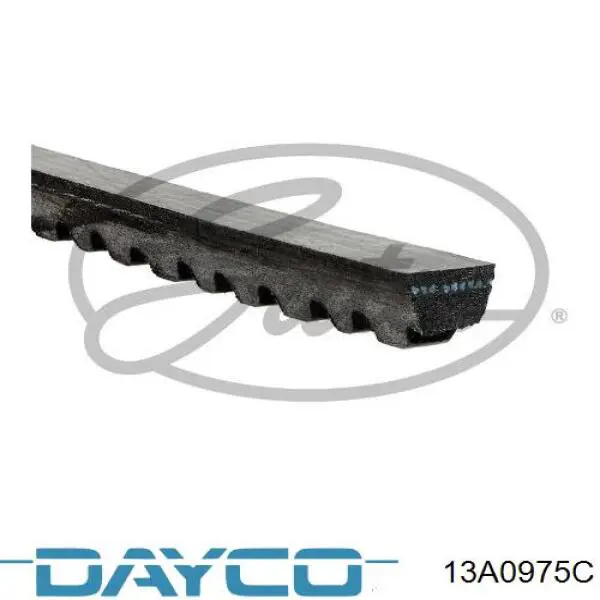 Do koszyka 13A0975C Dayco Pas napędowy mechanizmów