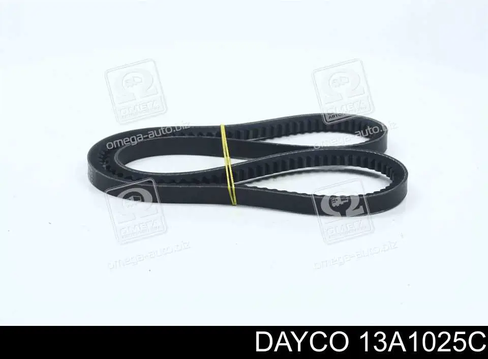 13A1025C Dayco Pas napędowy mechanizmów