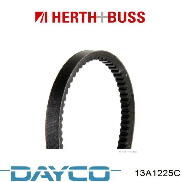 13A1225C Dayco Pas napędowy mechanizmów