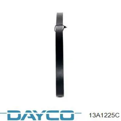 Pas napędowy mechanizmów 13A1225C Dayco