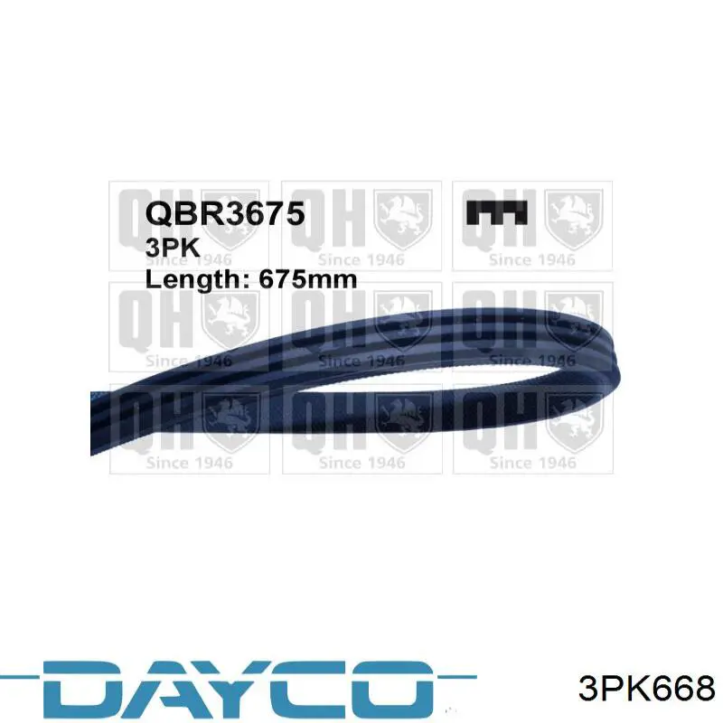 3PK668 Dayco pas napędowy mechanizmów