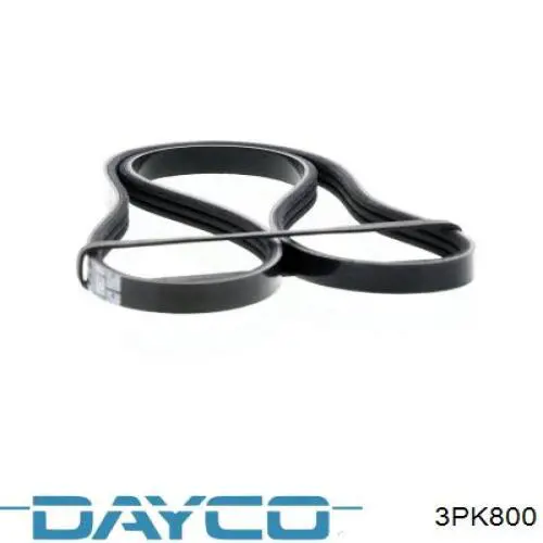 3PK800 Dayco Pas napędowy mechanizmów