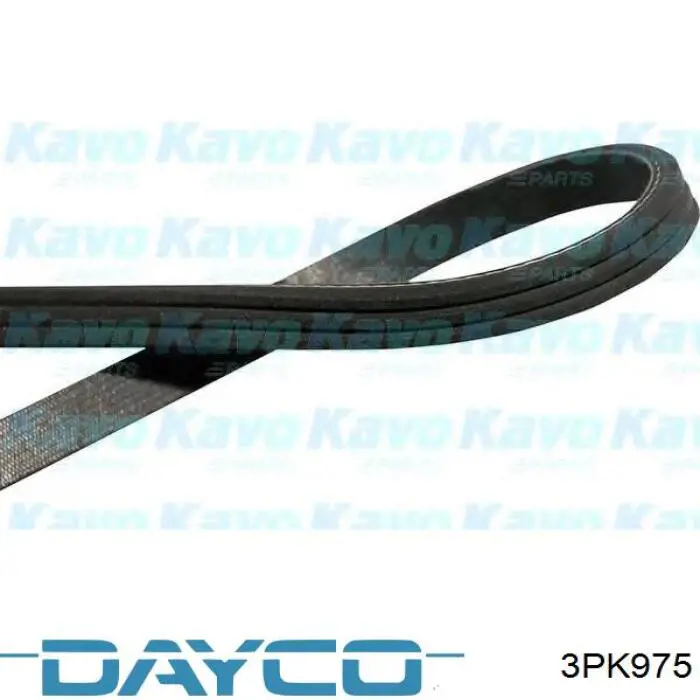 Pas napędowy mechanizmów Dayco 3PK975 cena, od 12,59 USD
