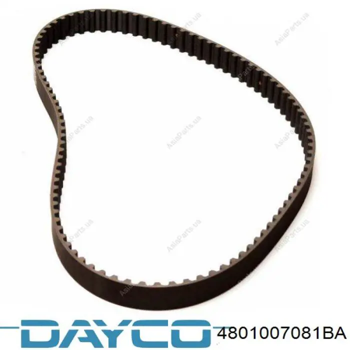 4801007081BA Dayco Pasek rozrządu