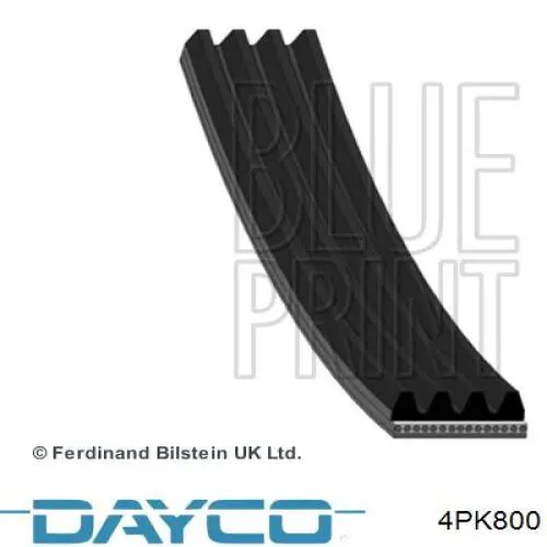 4PK800 Dayco Pas napędowy mechanizmów