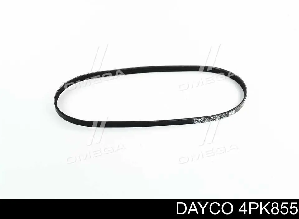 4PK855 Dayco Pas napędowy mechanizmów