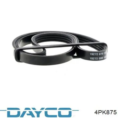 Do koszyka 4PK875 Dayco Pas napędowy mechanizmów