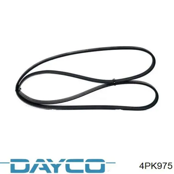 4PK975 Dayco Pas napędowy mechanizmów