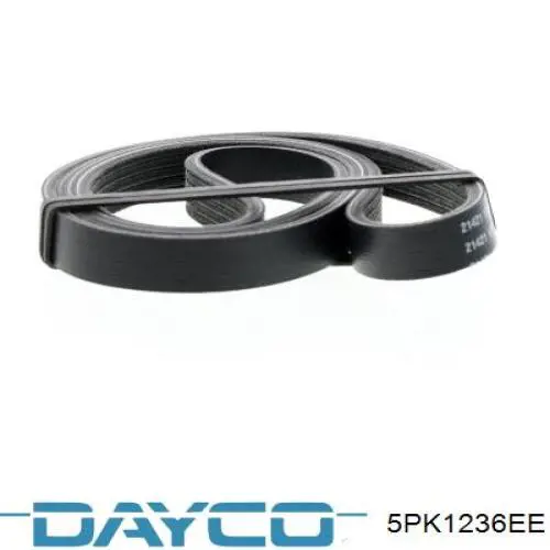 5PK1236EE Dayco pas napędowy mechanizmów