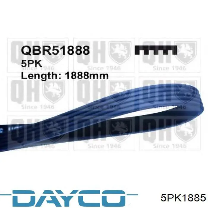 Do koszyka 5PK1885 Dayco Pas napędowy mechanizmów