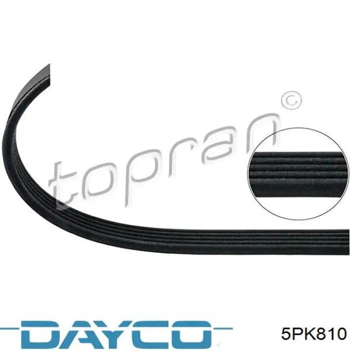 Do koszyka 5PK810 Dayco Pas napędowy mechanizmów