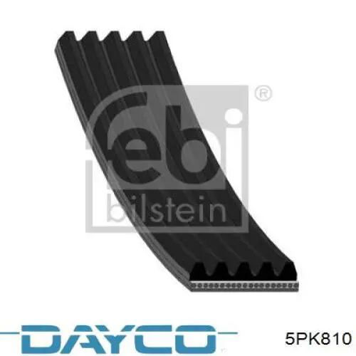 5PK810 Dayco Pas napędowy mechanizmów