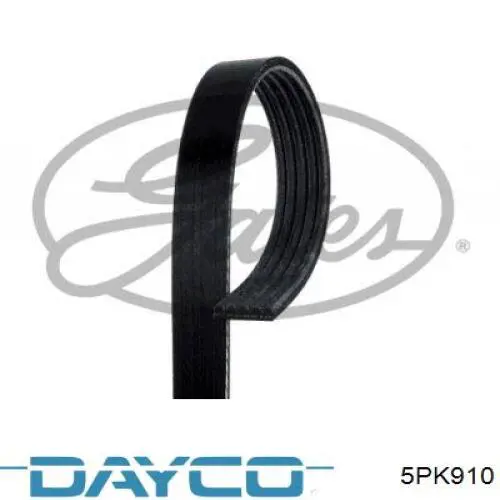 Pas napędowy mechanizmów Dayco 5PK910 cena, od 17,61 USD