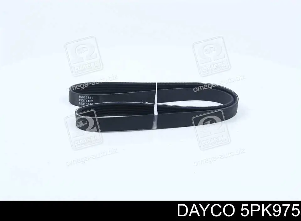 5PK975 Dayco Pas napędowy mechanizmów