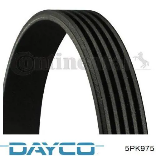 Pas napędowy mechanizmów Dayco 5PK975 cena, od 10,86 USD