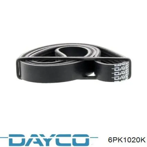 6PK1020K Dayco pas napędowy mechanizmów