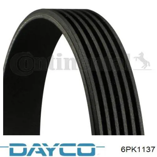 Pas napędowy mechanizmów Dayco 6PK1137 cena, od 14,92 USD