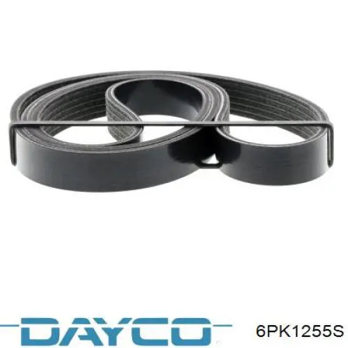 6PK1255S Dayco Pas napędowy mechanizmów