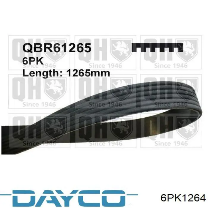 Do koszyka 6PK1264 Dayco Pas napędowy mechanizmów