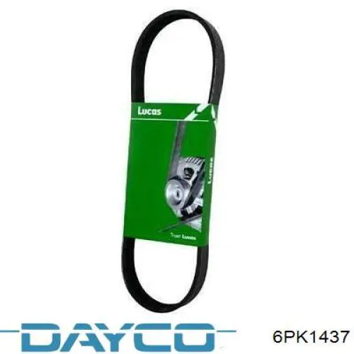 Do koszyka 6PK1437 Dayco Pas napędowy mechanizmów