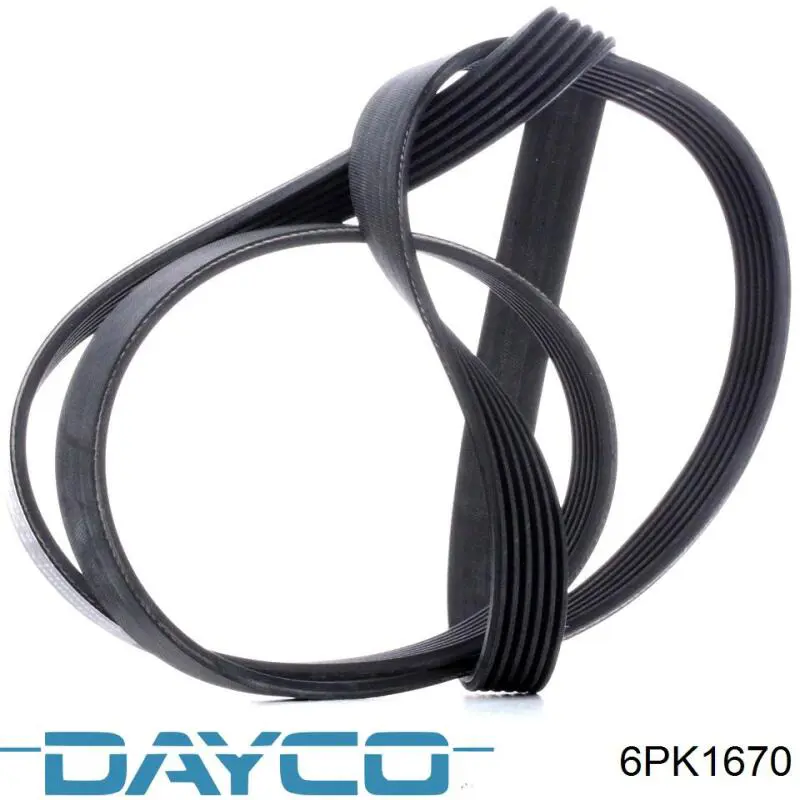 6PK1670 Dayco pas napędowy mechanizmów