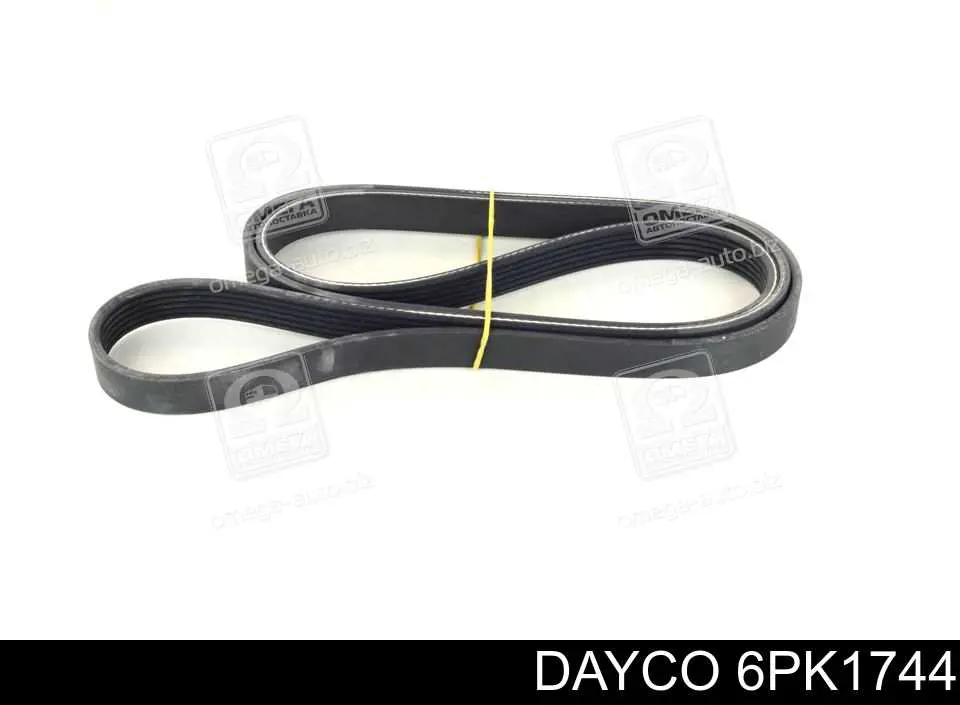 6PK1744 Dayco Pas napędowy mechanizmów