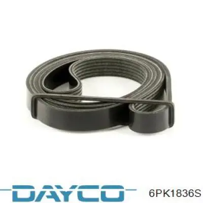 6PK1836S Dayco Pas napędowy mechanizmów