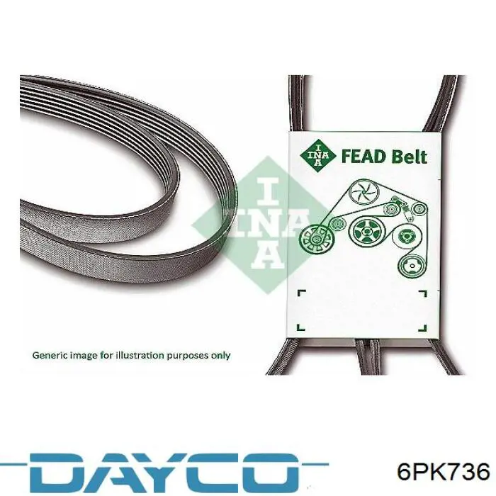 6PK736 Dayco pas napędowy mechanizmów