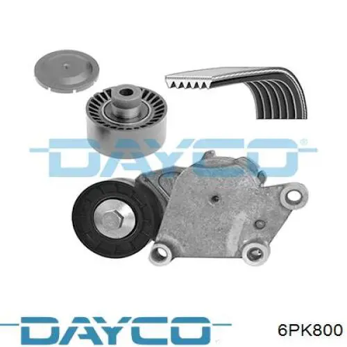 6PK800 Dayco Pas napędowy mechanizmów