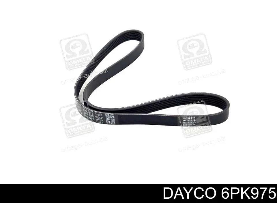 6PK975 Dayco Pas napędowy mechanizmów