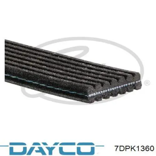 7DPK1360 Dayco Pas napędowy mechanizmów