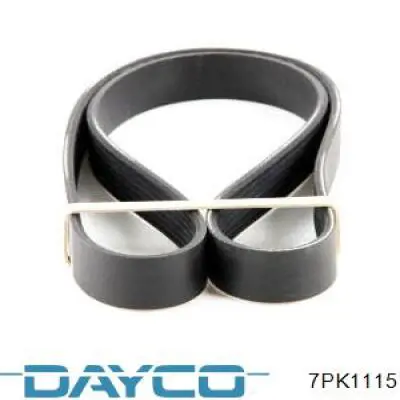 7PK1115 Dayco Pas napędowy mechanizmów