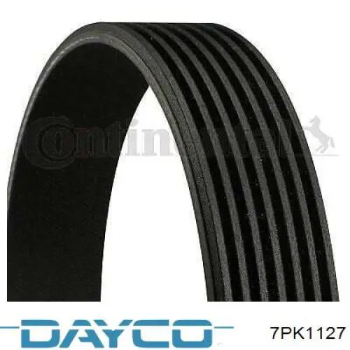 Pas napędowy mechanizmów Dayco 7PK1127 cena, od 15,82 USD