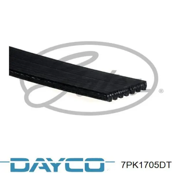 7PK1705DT Dayco pas napędowy mechanizmów