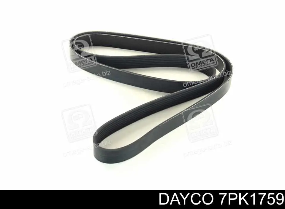 7PK1759 Dayco Pas napędowy mechanizmów