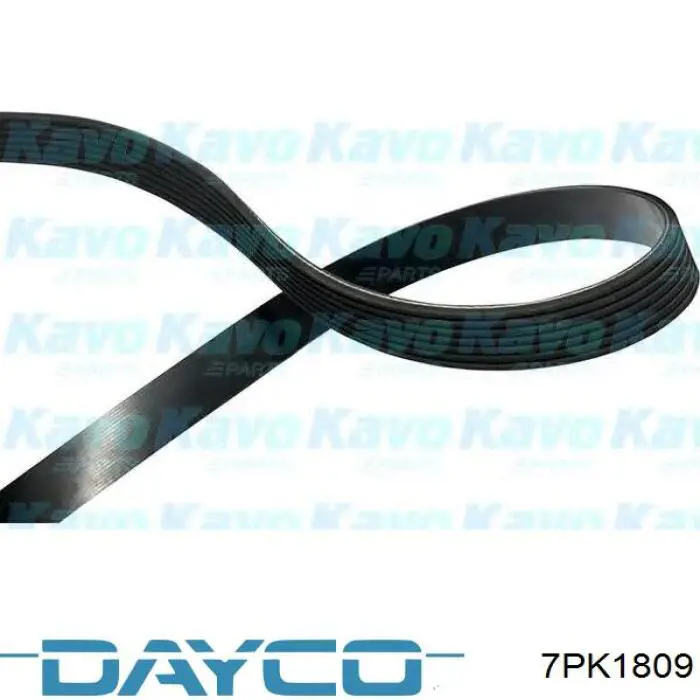 7PK1809 Dayco Pas napędowy mechanizmów