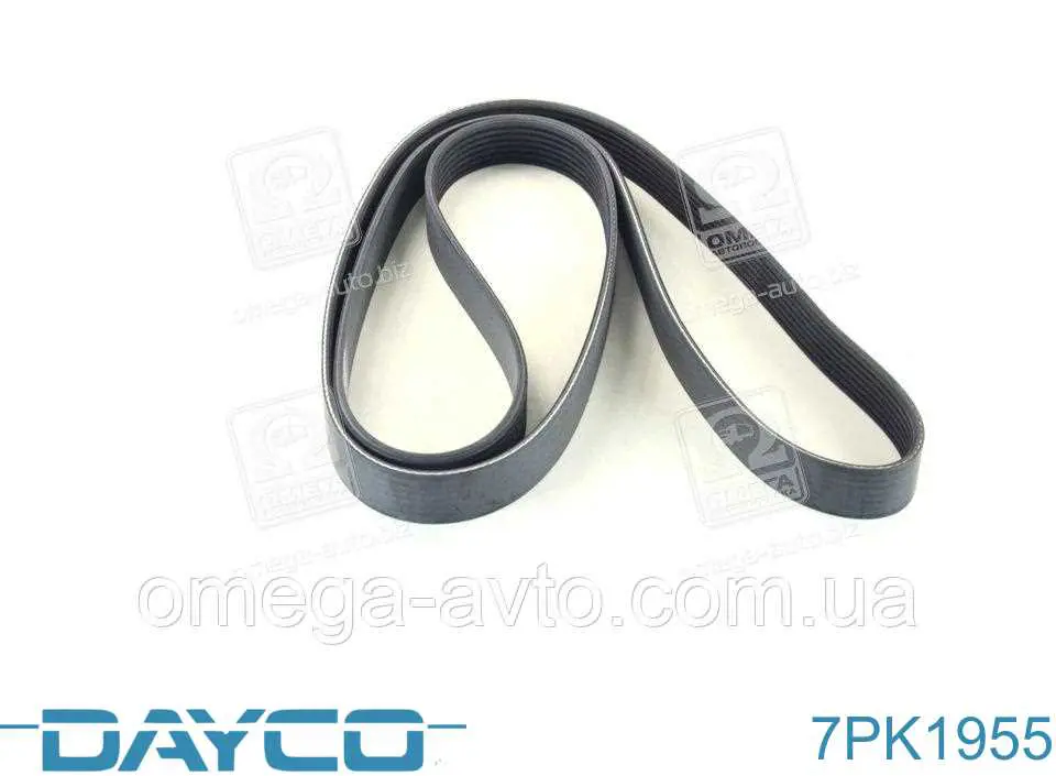 Pas napędowy mechanizmów Dayco 7PK1955 cena, od 33,11 USD
