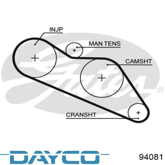 Pasek rozrządu Dayco 94081 cena, od 22,71 USD
