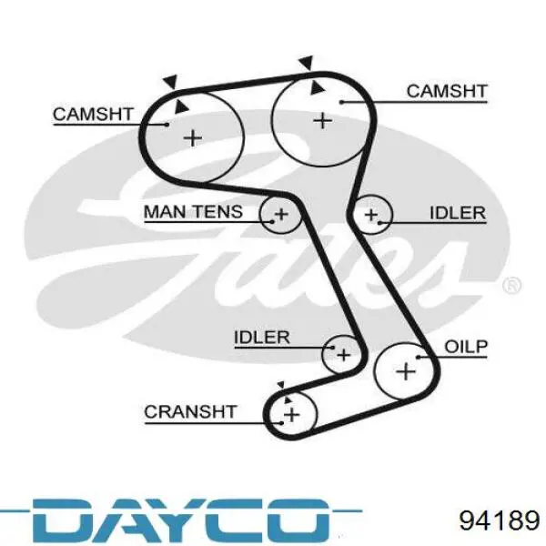 Pasek rozrządu Dayco 94189 cena, od 26,50 USD