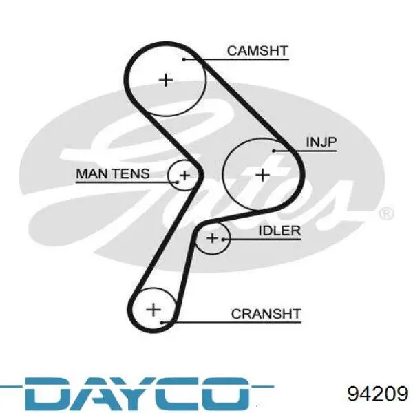 94209 Dayco Pasek rozrządu