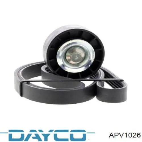 Do koszyka APV1026 Dayco Rolka napinacza paska napędowego