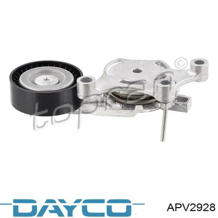Do koszyka APV2928 Dayco Napinacz paska napędowego