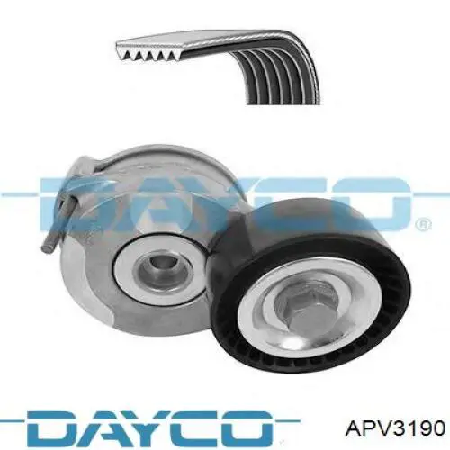 Do koszyka APV3190 Dayco Napinacz paska napędowego