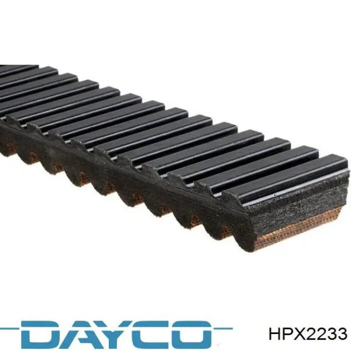HPX2233 Dayco Pas wariatorowy