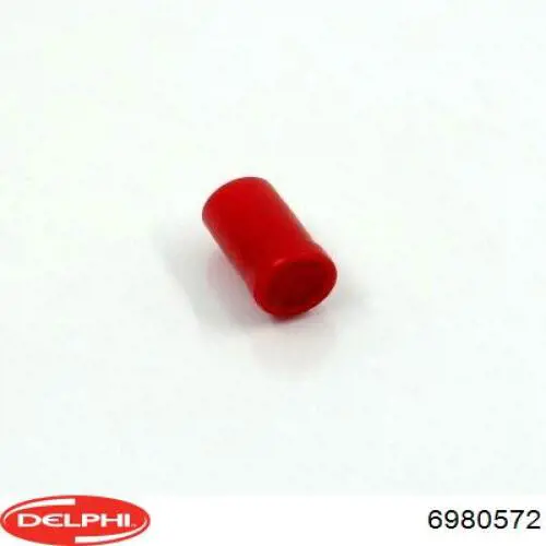 Rozpylacz wtrysku diesla Delphi 6980572 cena, od 65,98 USD