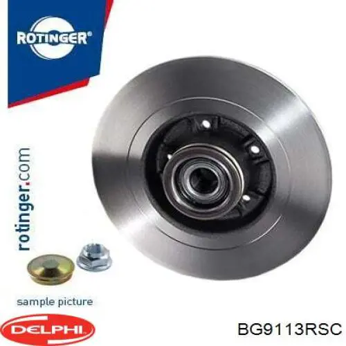 Do koszyka BG9113RSC Delphi Tarcza hamulcowa tylna