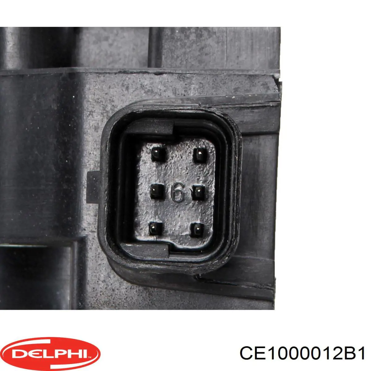 Do koszyka CE1000012B1 Delphi Cewka zapłonowa