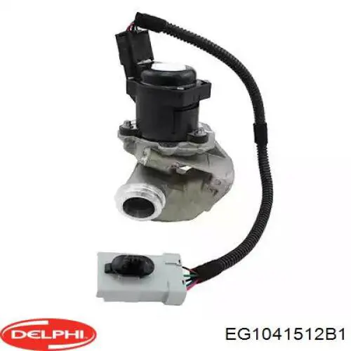 Do koszyka EG1041512B1 Delphi Zawór recyrkulacji spalin EGR