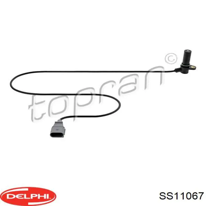 Do koszyka SS11067 Delphi Czujnik położenia wału korbowego
